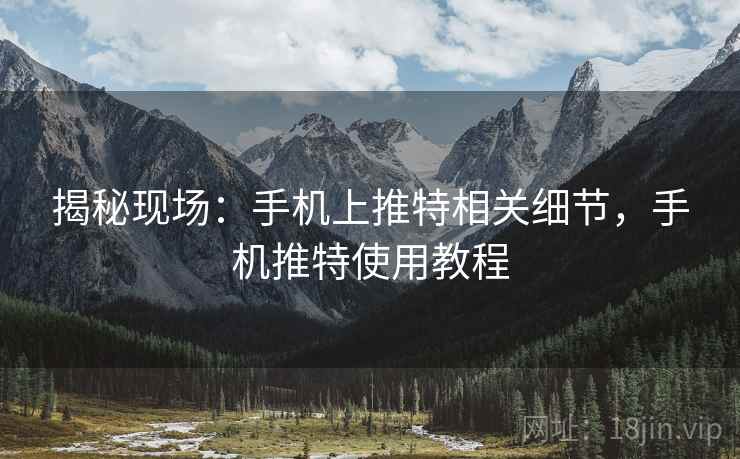 揭秘现场：手机上推特相关细节，手机推特使用教程